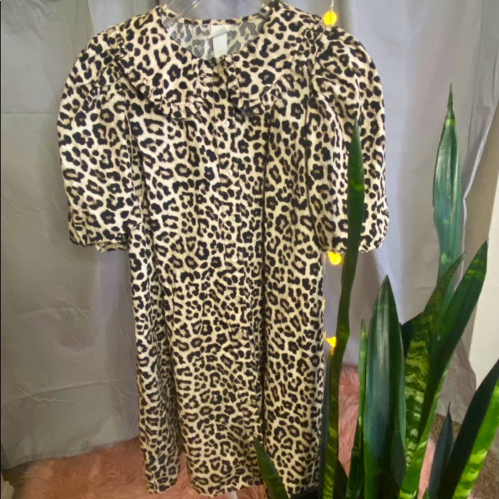 CHEETAH PUFF!! 🐆